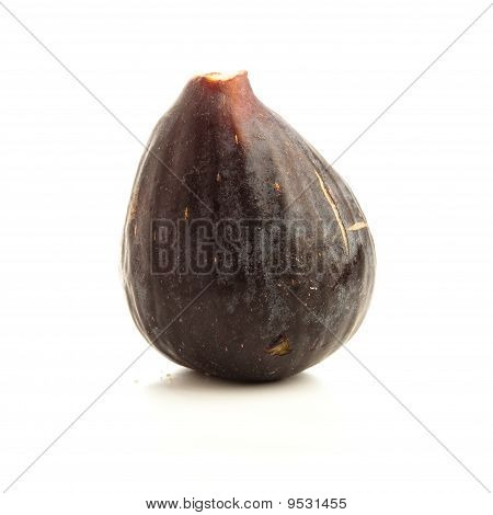 Fig