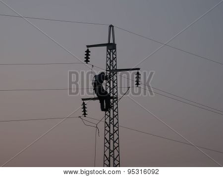 Silhouette of a worker on maintenance job on high voltage pole, featuring three phase wires shorted and grounded for security purposes