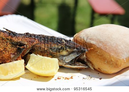 Grilled Fish