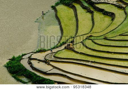 Terraced rice field in water season in Laocai province, Vietnam