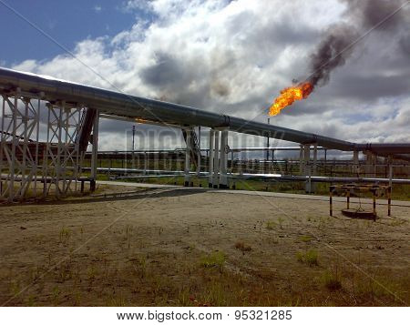 The Burning Oil Torch