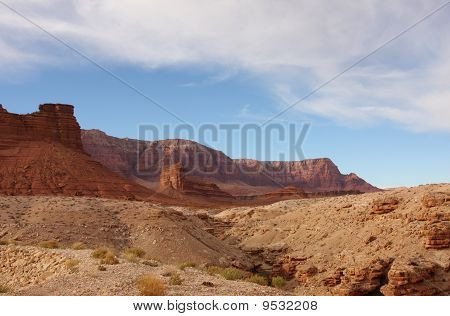 Arizona landskap