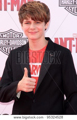 vLOS ANGELES - JUN 29:  Ty Simpkins at the 