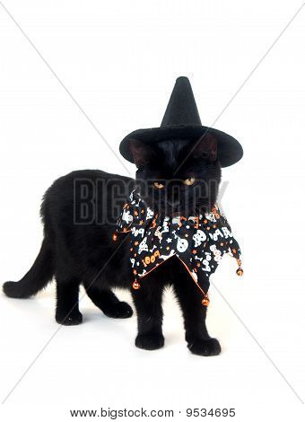 Sort kat med Witch Hat og Halloween Bib