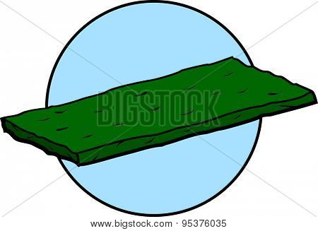 scouring pad