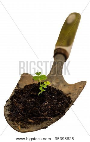 Garden Hand Trowel