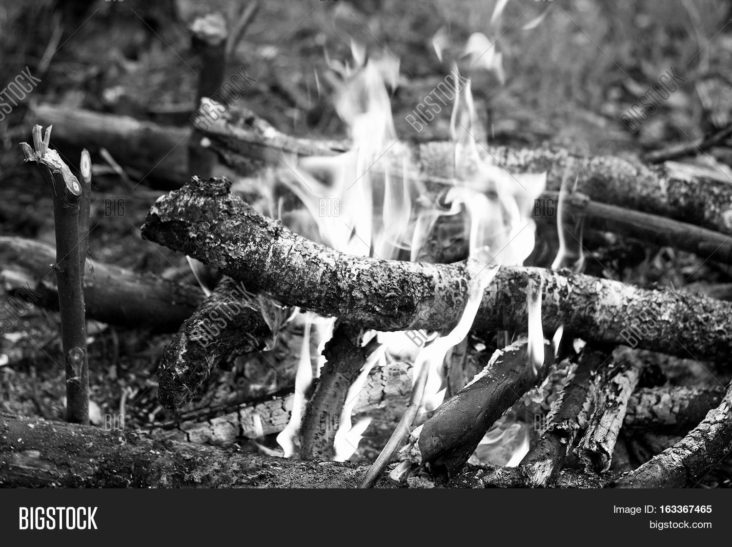 Fire Which Ignited Image & Photo (Free Trial) Bigstock