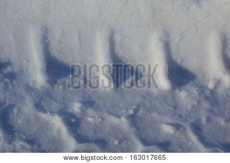 This is the tire track found in the snow on a nearby walking path.