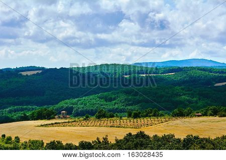 Mountain Landscape Of Bulgaria