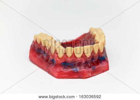 Technical shots of models on a dental prothetic laboratory