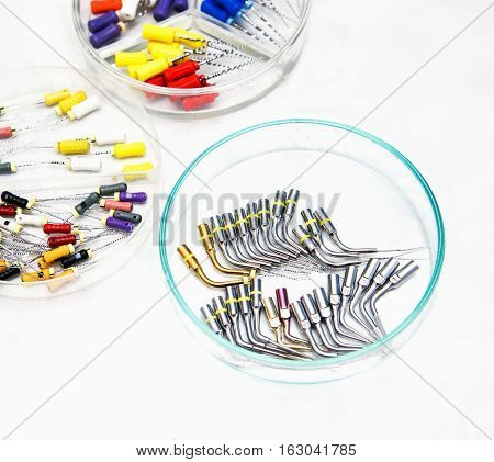 Endodontic Equipment in Petri dish glass closeup.