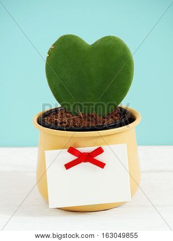 Heart Plant With Tag