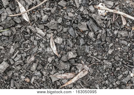 Black ashes or charcoal texture background. Burnt firewood