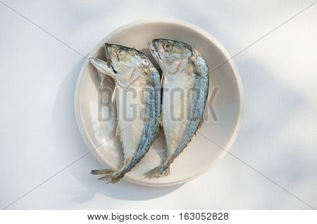 Mackerel and fresh vegetables ingredients for cooking
