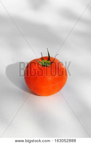 Fresh tomato on white background close up