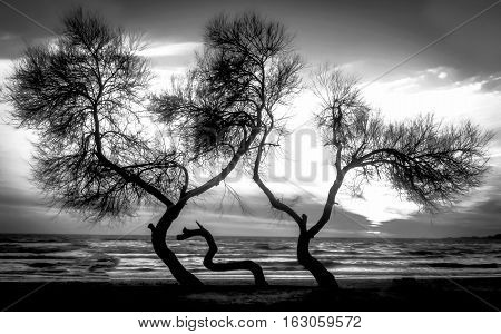 Sunset over the sea on the beach Black and white visual