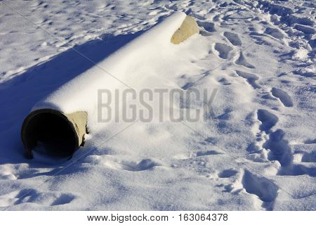 Old rusty pipes thrown in the snow in the winter