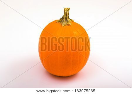 A Lone Pumpkin on a bright white bacjground