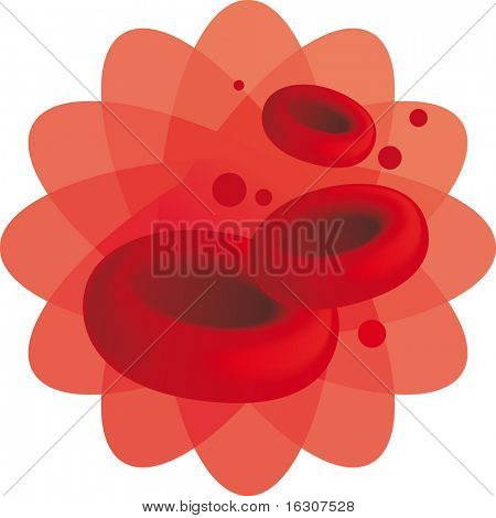 เซลล์เม็ดเลือด