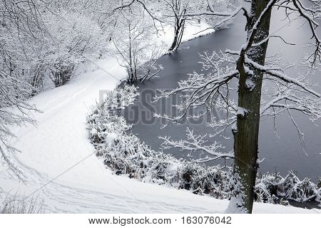 Winter morning in the park. Snow-covered path and trees. Frozen lake.