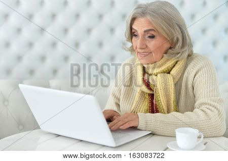 Portrait of a senior woman using computer, communication concept