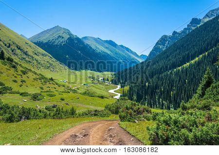 In The Vicinity Of Altyn-arashan, Kyrgyzstan.