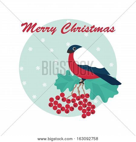 Merry Christmas vector illustration of bulfinch and rowan with snowflake