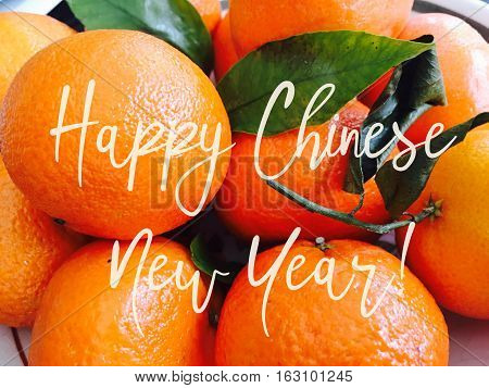 Happy Chinese New Year Good Fortune Fruit for fullness and wealth social media cyber card image for text message postcard poster or twitter good fortune wishes on Chinese New Year