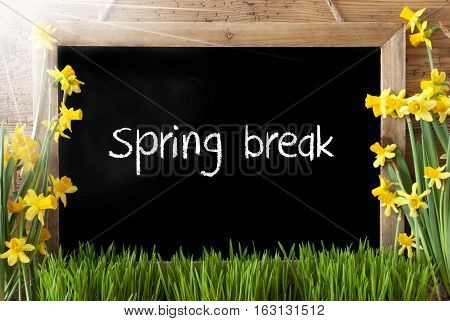 Blackboard With English Text Spring Break. Sunny Spring Flowers Nacissus Or Daffodil With Grass. Rustic Aged Wooden Background.