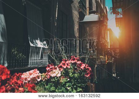 View from balcony of narrow street of Barcelona historical district El Born: facades flowers balconies and windows street lantern flag of Catalonia. Sunny summer day Spain.