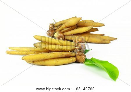 finger root Ingredients for Thai Cuisine on white background
