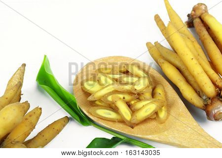 finger root Ingredients for Thai Cuisine on white background