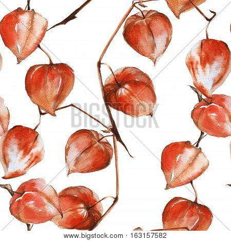 Background branch with the fruits of physalis. Seamless pattern. Pattern for fabric. Watercolor illustration.