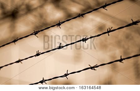 Barbed Wire Lines And Background Blurred With Other Barriers