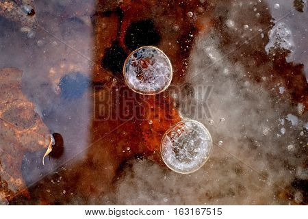 frozen in ice, air bubbles in the late autumn
