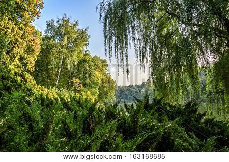 Autumn park. Arboretum. Trostyanets Chernihivs'ka oblast Ukraine.
