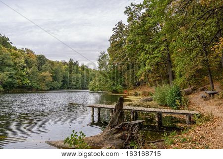 Lake in the autumn park. Autumn landscape.