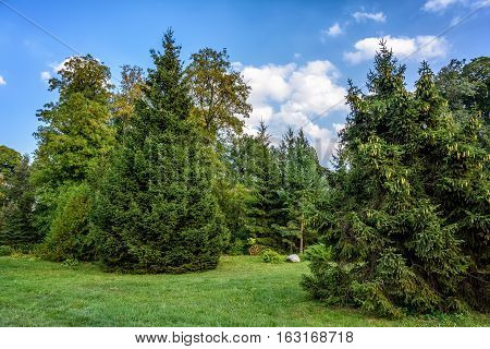 Autumn park. Arboretum. Trostyanets Chernihivs'ka oblast Ukraine.
