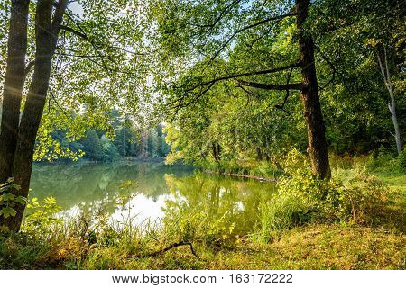Lake in the autumn park. Autumn landscape.