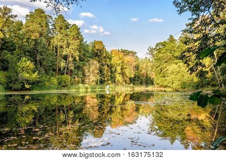 Lake in the autumn park. Autumn landscape.