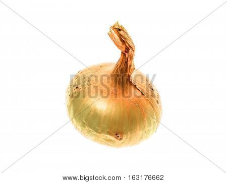 Organic Bio Homegrown Unpeeled Yellow Onion Isolated On White Background.