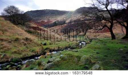 a little torrent flowing in a green valley when the sun is just behind the hills