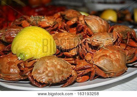 Seafood is a versatile protein food d