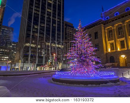An urban park in Calgary at night all decorated for Christmas with beautiful Christmas lights.