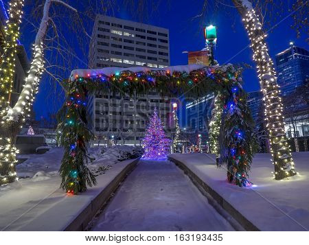 An urban park in Calgary at night all decorated for Christmas with beautiful Christmas lights.