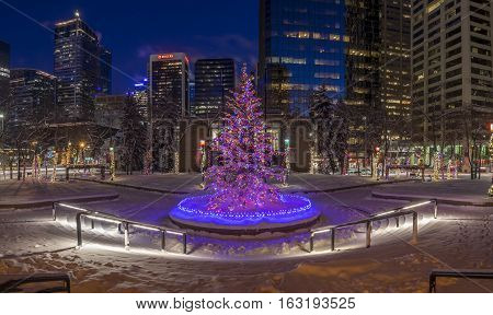 An urban park in Calgary at night all decorated for Christmas with beautiful Christmas lights.