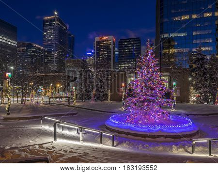 An urban park in Calgary at night all decorated for Christmas with beautiful Christmas lights.