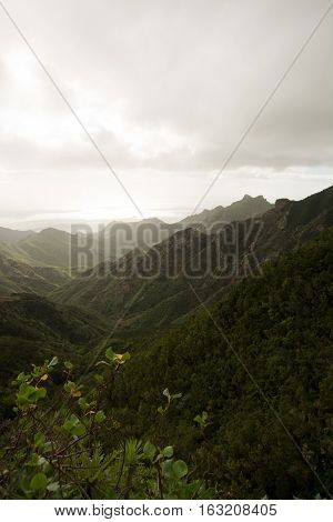 Road TF-12 in Anaga Rural Park - evergreen peaks with ancient forest on Tenerife Canary Islands winter travel destination