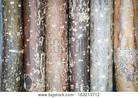Different shades of brown wooden fence background