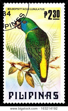 STAVROPOL RUSSIA - December 11 2016: A stamp printed by Philipines shows bird an Philippine thick-parrots (Bolbopsittacus Lunulatus) circa 1984